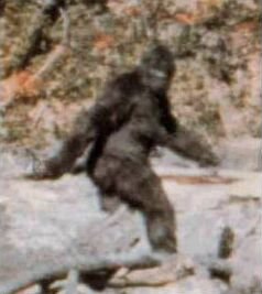 bigfoot film
